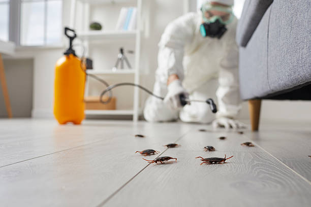 Commercial Kitchen Cockroach Control in Red Oak